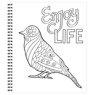 Large Print Easy Color & Frame - Calm (Stress Free Coloring Book)