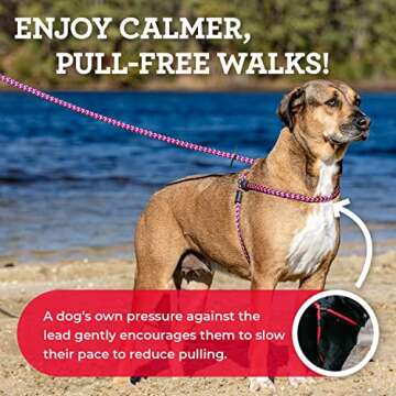 Harness Lead No Pull Dog Harness and Leash Set, Anti Pull Dog Harness for All Breeds and Sizes, One-...