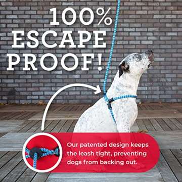 No Pull Dog Harness and Leash Set for All Breeds