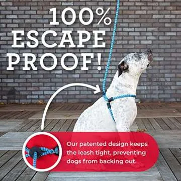 No Pull Dog Harness and Leash Set for All Breeds