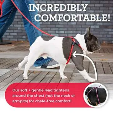 No Pull Dog Harness and Leash Set for All Breeds