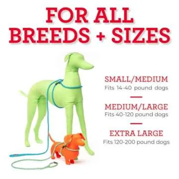 No Pull Dog Harness and Leash Set for All Breeds