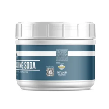 Earthborn Elements Washing Soda 2 lb Non-Toxic Cleaner