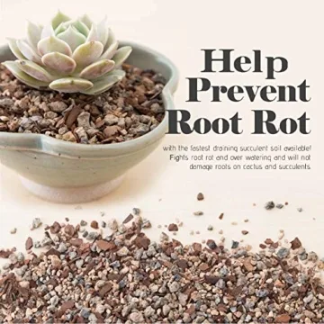 Bonsai Jack Succulent & Cactus Soil - Fast Drainage 2 Quarts
