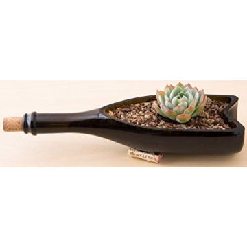 Bonsai Jack Succulent & Cactus Soil - Fast Drainage 2 Quarts