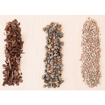 Bonsai Jack Succulent & Cactus Soil - Fast Drainage 2 Quarts