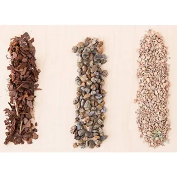 Bonsai Jack Succulent & Cactus Soil - Fast Drainage 2 Quarts