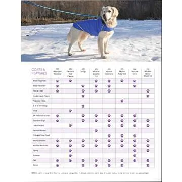 RC Pet Products Packable Dog Rain Poncho, Paw Print, XX-Large