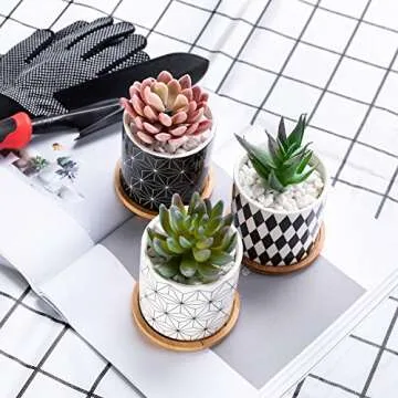 Dsben 3.2 Inch Succulent Plant Pots, Small Modern Flower Ceramic Planter Indoor with Bamboo Tray for Cactus, Herbs, Home, Set of 3 (Plants Not Included)