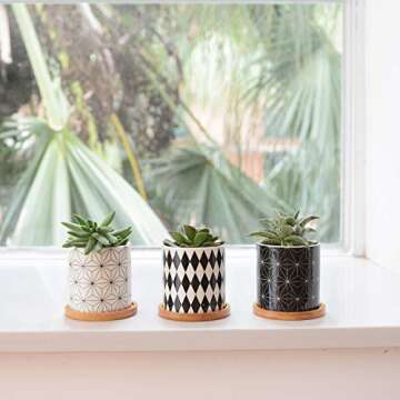 Dsben 3.2 Inch Succulent Plant Pots, Small Modern Flower Ceramic Planter Indoor with Bamboo Tray for Cactus, Herbs, Home, Set of 3 (Plants Not Included)