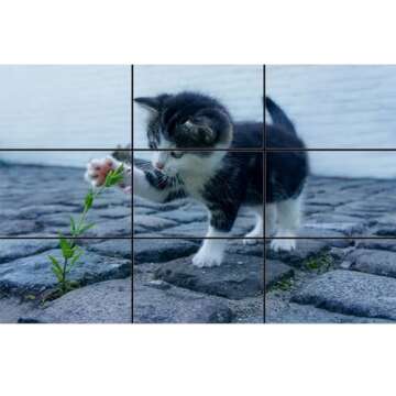 Golden Ratio Composition Tool for Photography & Art