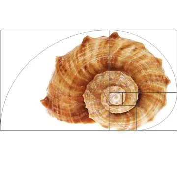 Golden Ratio Composition Tool for Photography & Art