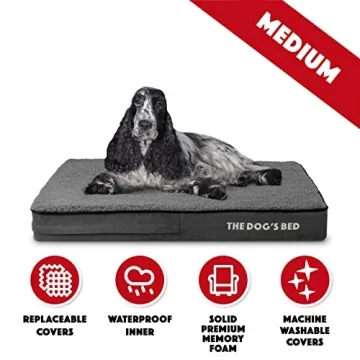 Orthopedic Memory Foam Dog Bed for Joint Relief
