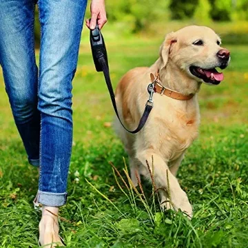Simple Solution Pee Post - Outdoor Potty Training Aid