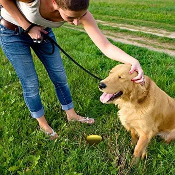 Simple Solution Pee Post - Outdoor Potty Training Aid