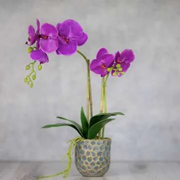 QUI-LO Perennial Gardens 18"-22" H Artificial Orchid Flowers, Fake Orchid, Artificial Orchids, Faux Orchid, Silk Orchids, Fake Flowers, Orchids Artificial Flowers (Rose)