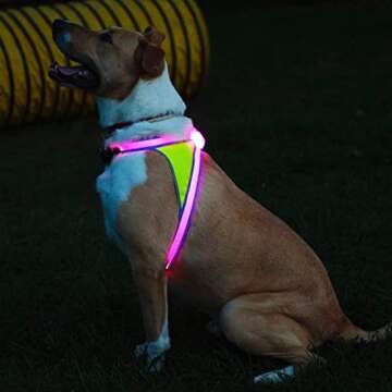 Noxgear LightHound – Revolutionary Illuminated and Reflective Harness for Dogs Including Multicolored LED Fiber Optics (USB Rechargeable, Adjustable, Lightweight, Rainproof) (Large)