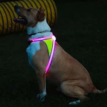Noxgear LightHound – Revolutionary Illuminated and Reflective Harness for Dogs Including Multicolored LED Fiber Optics (USB Rechargeable, Adjustable, Lightweight, Rainproof) (Large)