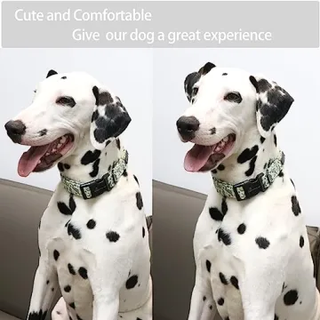 ARING PET Dinosaur Dog Collar Adjustable for All Dogs