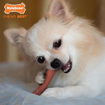 Nylabone Power Chew Durable Bacon Dog Toy for Aggressive Chewers