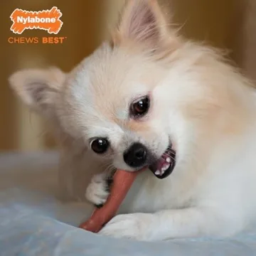 Nylabone Power Chew Durable Bacon Dog Toy for Aggressive Chewers