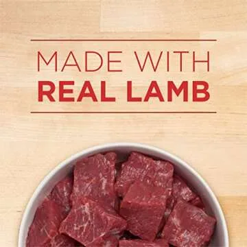 Purina ONE Plus Wet Puppy Food Classic Ground Healthy Puppy Lamb and Long Grain Rice Entree - (Pack ...