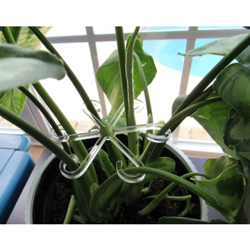 Stem Supports for Healthy Climbing Plants - 2 Sizes