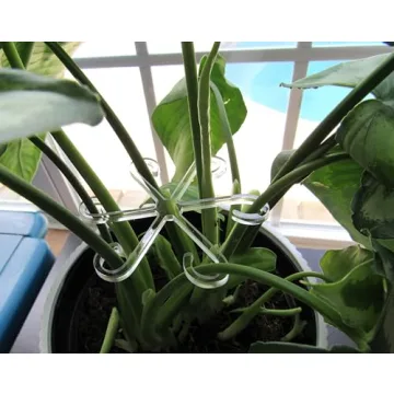 Stem Supports for Healthy Climbing Plants - 2 Sizes