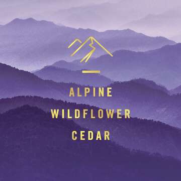 Febreze Car Vent Clip Freshener - Mountain Scent