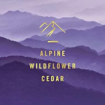 Febreze Car Vent Clip Freshener - Mountain Scent