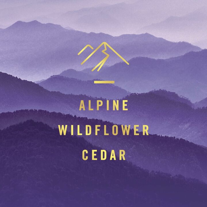 Febreze Car Vent Clip Freshener - Mountain Scent