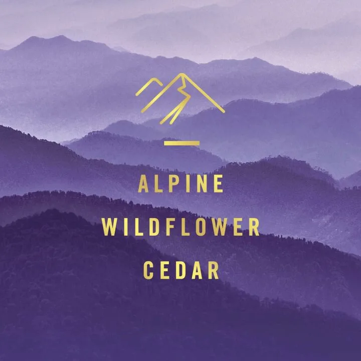 Febreze Car Vent Clip Freshener - Mountain Scent