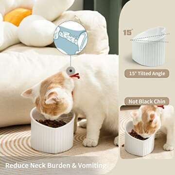 WUHOSTAM Raised Ceramic Tilted Cat Bowls, Heart Shape Elevated Cat Food Bowl, Porcelain Slanted Pet ...