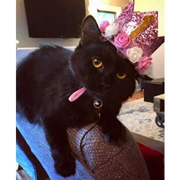 PET SHOW Pink Crown Dog Birthday Party Hat for Girls Reusable Birthday Party Cat Kitten Headband wit...