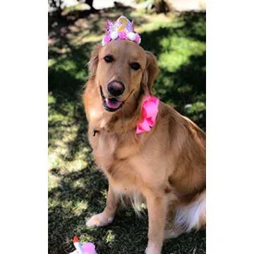 Cute Reusable Pet Birthday Crown for All Pets