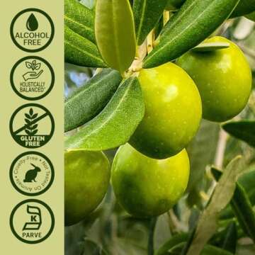 Nature’s Answer Olive Leaf Extract - Alcohol-Free Wellness Tincture