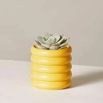 The Sill Ceramic Indoor Planter | Dolores Coiled Earthenware