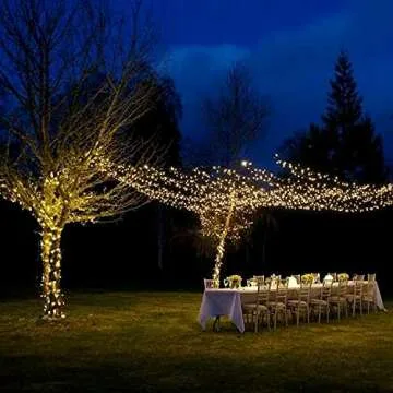 Homemory 200 LED Copper Fairy Lights with Remote Control