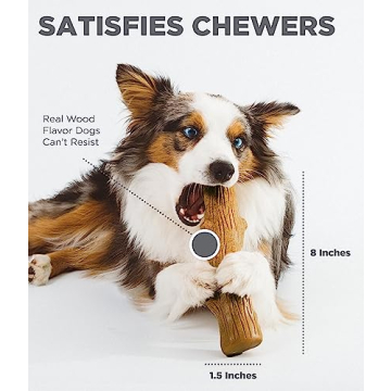 Durable Petstages Dogwood Chew Toy for Aggressive Chewers