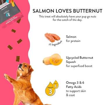 Shameless Pets Jerky Dog Treats, Salmon Loves Butternut - Healthy Dog Chews for Dogs Skin & Coat with Omega 3 & 6 - Dog Treats with Real Wild-Caught Salmon - Free from Grain, Corn & Soy - 1-Pack