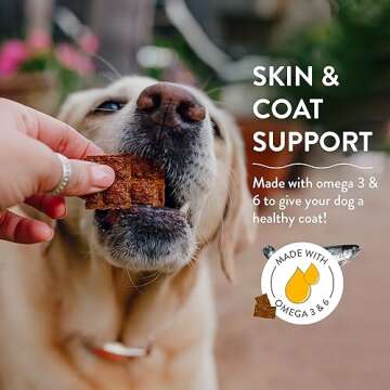 Shameless Pets Jerky Dog Treats, Salmon Loves Butternut - Healthy Dog Chews for Dogs Skin & Coat with Omega 3 & 6 - Dog Treats with Real Wild-Caught Salmon - Free from Grain, Corn & Soy - 1-Pack
