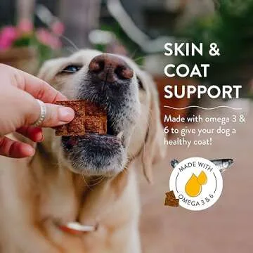 Shameless Pets Jerky Dog Treats, Salmon Loves Butternut - Healthy Dog Chews for Dogs Skin & Coat with Omega 3 & 6 - Dog Treats with Real Wild-Caught Salmon - Free from Grain, Corn & Soy - 1-Pack