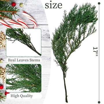 4OZ Preserved Real Pine Leaves Branches -17'' Natural Greenery Plants Pine Twigs Stems Pine Needles Evergreen Picks for Garland Wreath Christmas Holiday Wedding Home Decor Indoor Outdoor Decoration