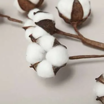 VGIA 3 Pack 21 Inch Cotton Stems Farmhouse Style Display Filler - Floral Decoration