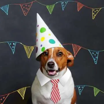 4 Pieces Pet Bow Tie Adjustable Pet Neck Tie Costume Formal Dog Collar for Small Dogs and Cats Puppy Grooming Ties Party Accessories (S, Black, Red, Red White, Blue White)