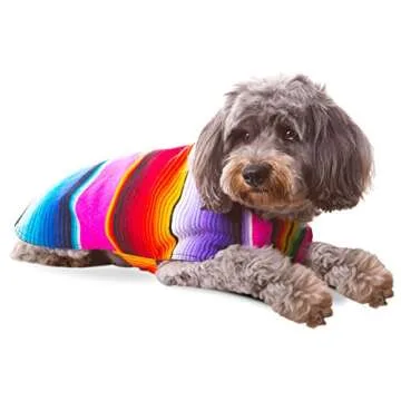 Unique Handmade Dog Poncho from Authentic Mexican Blanket