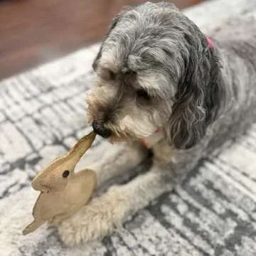 SPOT Dura-Fused Leather Rabbit - Durable Dog Toy with Squeaker, Real Leather & Jute Fabric, Interactive Toy for Moderate & Aggressive Chewers, Small and Medium Dogs and Puppies, 7.5in