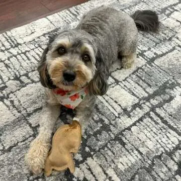 SPOT Dura-Fused Leather Rabbit - Durable Dog Toy with Squeaker, Real Leather & Jute Fabric, Interactive Toy for Moderate & Aggressive Chewers, Small and Medium Dogs and Puppies, 7.5in