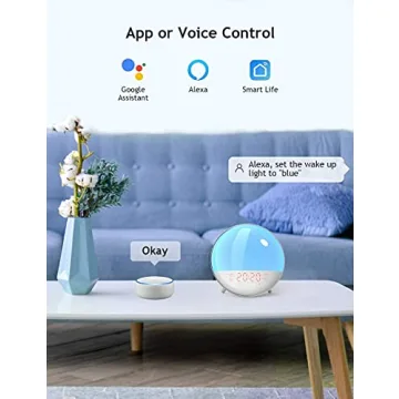 Smart Sunrise Alarm Clock with FM Radio & App Control