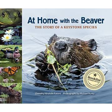 At Home with the Beaver: A Story of a Keystone Species (The Story of a Keystone Species, 2)